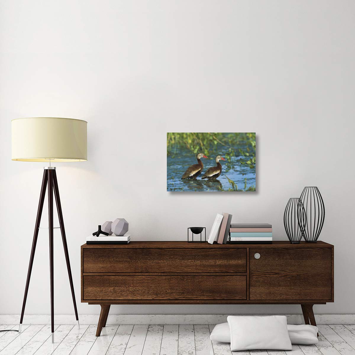 Black-Bellied Whistling Duck Pair Wading, Rio Grand Valley, Texas-Canvas Art-30