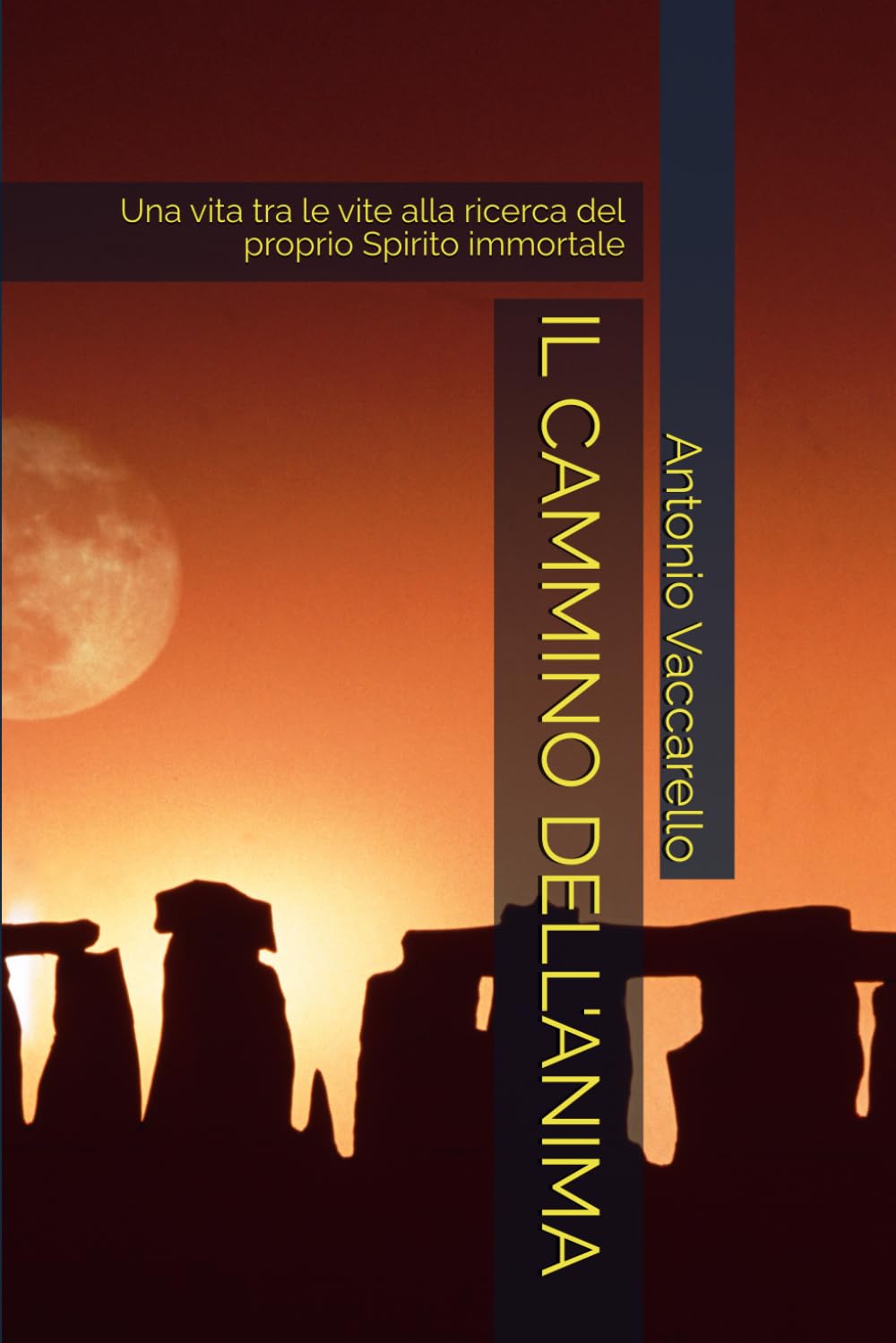 IL CAMMINO DELL'ANIMA: Una vita tra le vite alla ricerca del proprio Spirito immortale (Cammino di Consapevolezza)