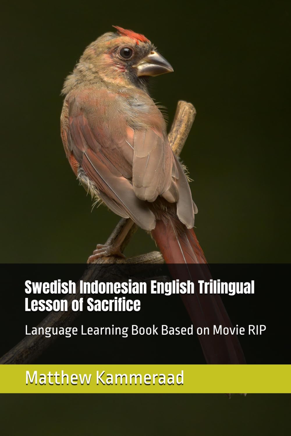 Swedish Indonesian English Trilingual Lesson of Sacrifice: Language Learning Book Based on Movie RIP