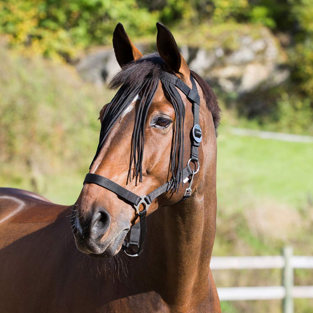 Horze Pferde Fliegenfransen, Fliegenschutz für Pferd und Pony, Schwarz, F