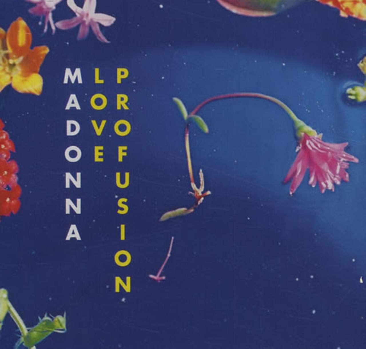 Love Profusion (U.S. CD/12" Maxi) [Audio CD] Madonna