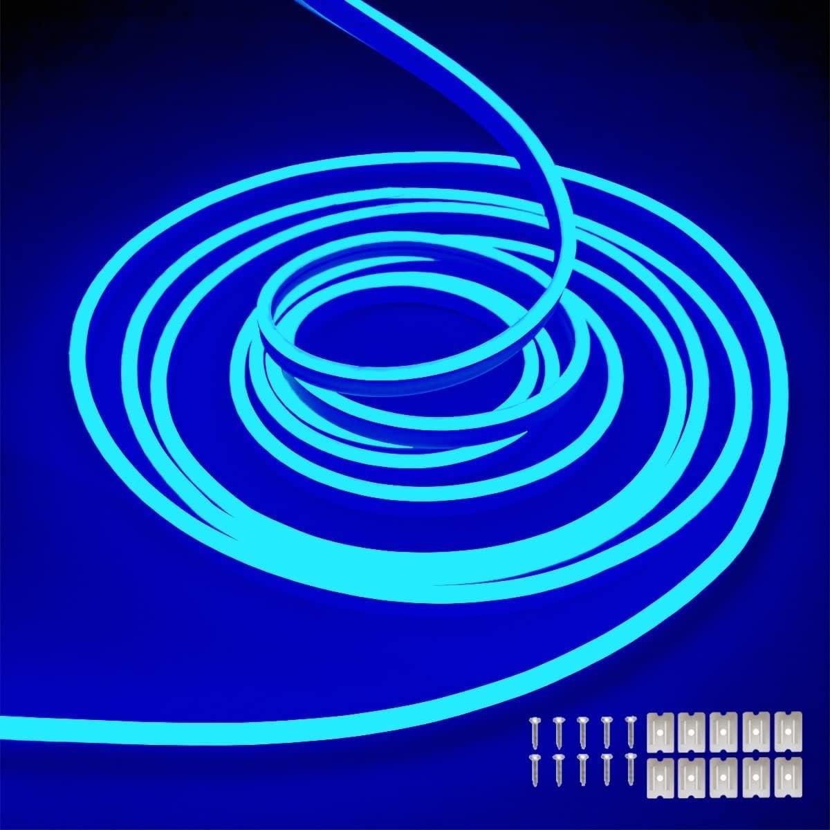 dobestyou Blue Neon LED Strip Lights, 16.4ft 12V DC 600 SMD2835 LEDs Waterproof Flexible Rope Light for Indoor &amp; Outdoor Home Decoration (Power Adapter Not Included)