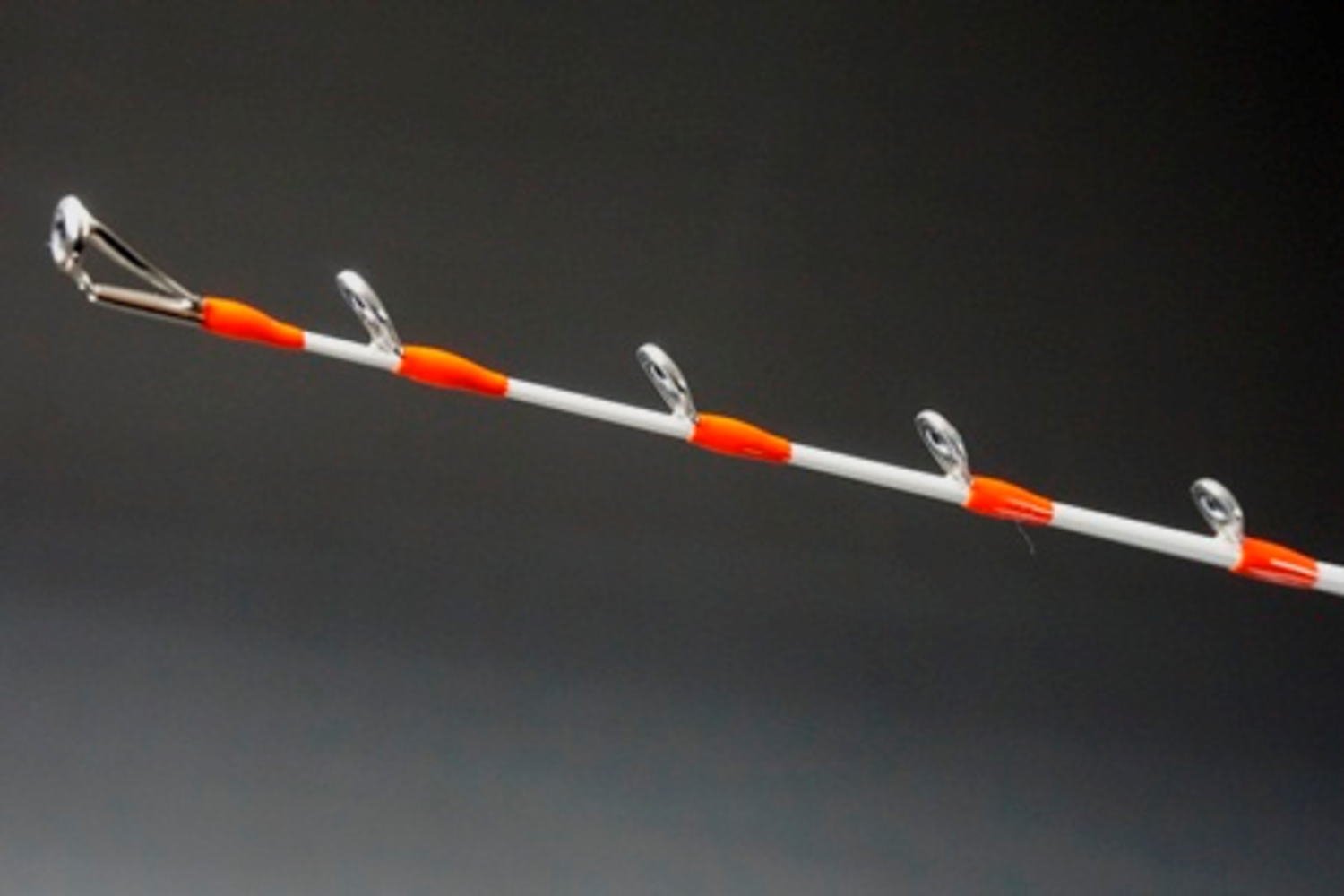 Amazon | ダイワ(DAIWA) 船竿 アナリスタービシアジ M-190 釣り竿 Amazon | ダイワ(DAIWA) 船竿 アナリスタービシアジ M-190 釣り竿