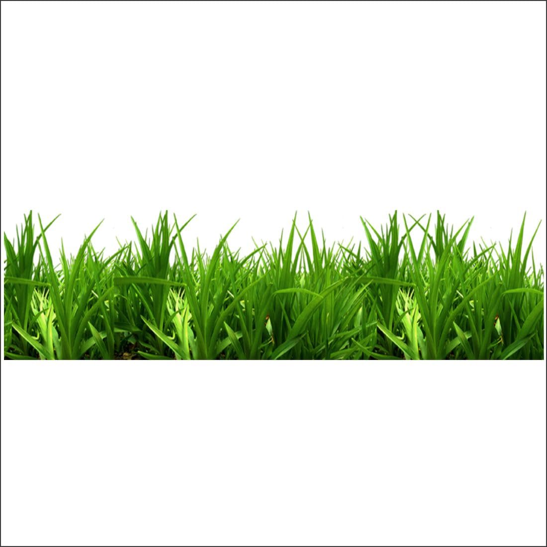 Vinyl World Care Green Grass Wall Sticker For Bedroom Living Room Office Kids (Size - 25Cm X 90 Cmself-Adhesive, Smooth Surface, 900 Mm) (B0CP8667Z5) Amazon Price History, Amazon Price Tracker