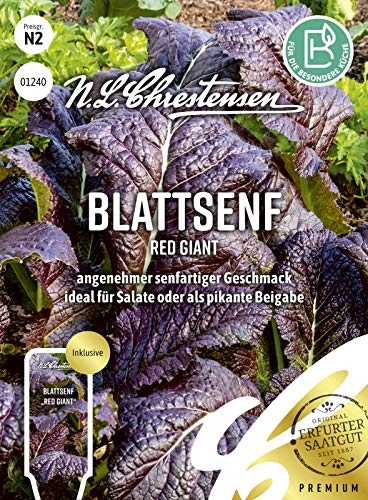 Blattsenf Red Giant N.L.Chrestensen Samen 1240