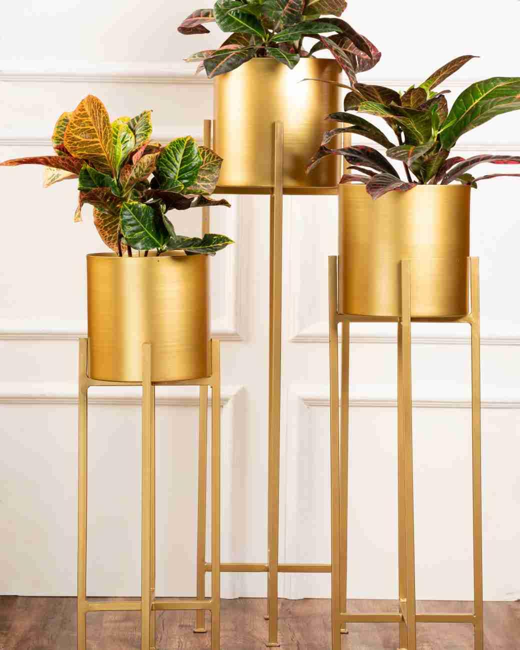 Crust Overseas Present Luxury Indoor Outdoor Plant Stand Set Of 3 (Gold, 6 Cm) (B0D4JVQWT1) Amazon Price History, Amazon Price Tracker