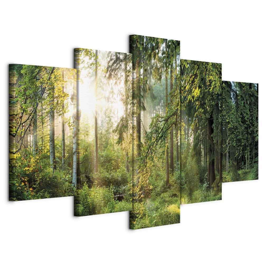 Cuadros B&D XXL - Quadro Foresta Verde 200x100 cm 5 Pezzi - Stampa su Tela Strutturata XXL Grande - Quadri Moderni Componibili Camera da Letto Matrimoniale - Stampe da Parete Arte c-C-0033-b-n
