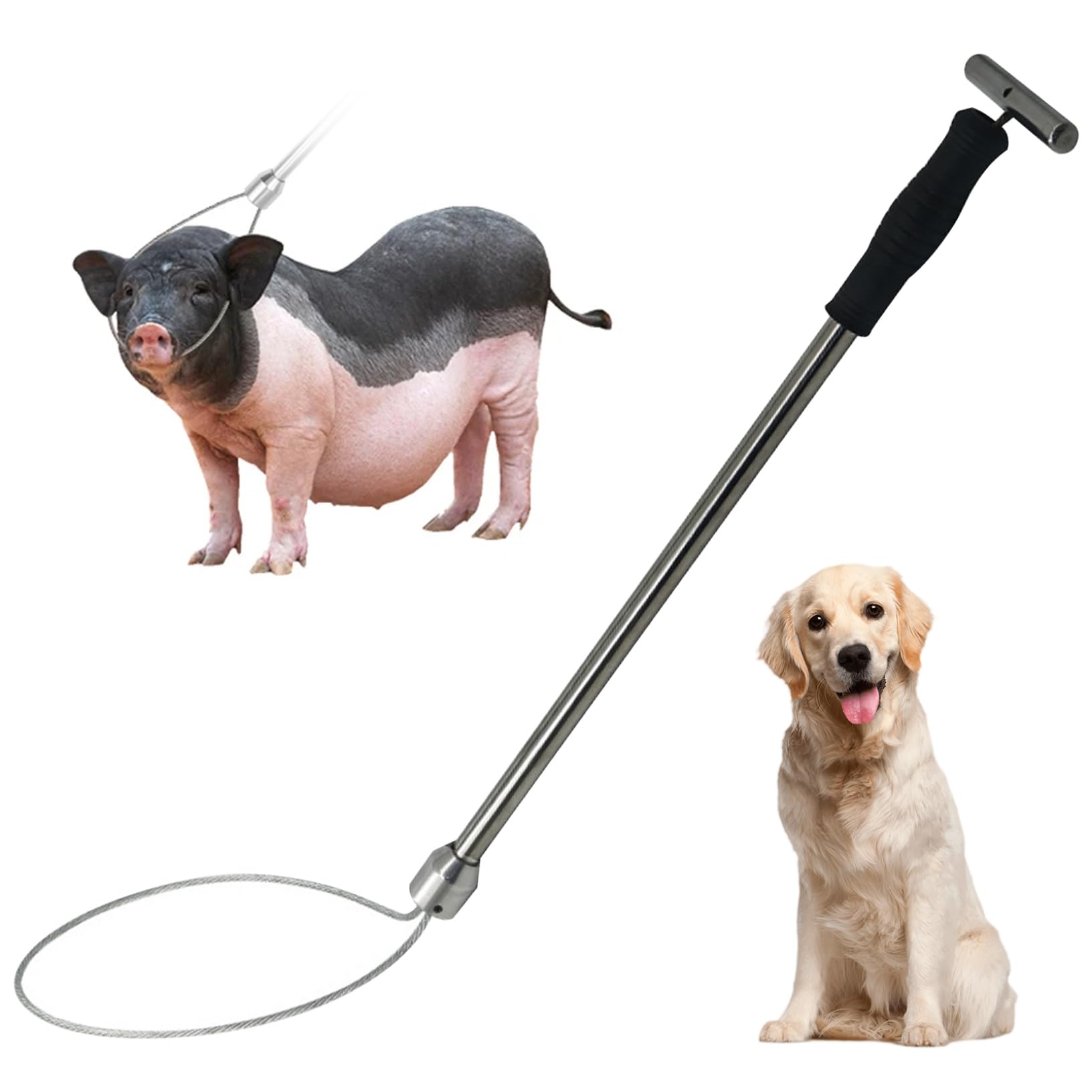 Pôle de Capture d'animaux 19 Pouces en Acier Inoxydable, Poteau de Chien avec Un Anneau réglable, contrôle des Animaux Robuste pour Les Compagnie Utilisation et Manipulation la séc