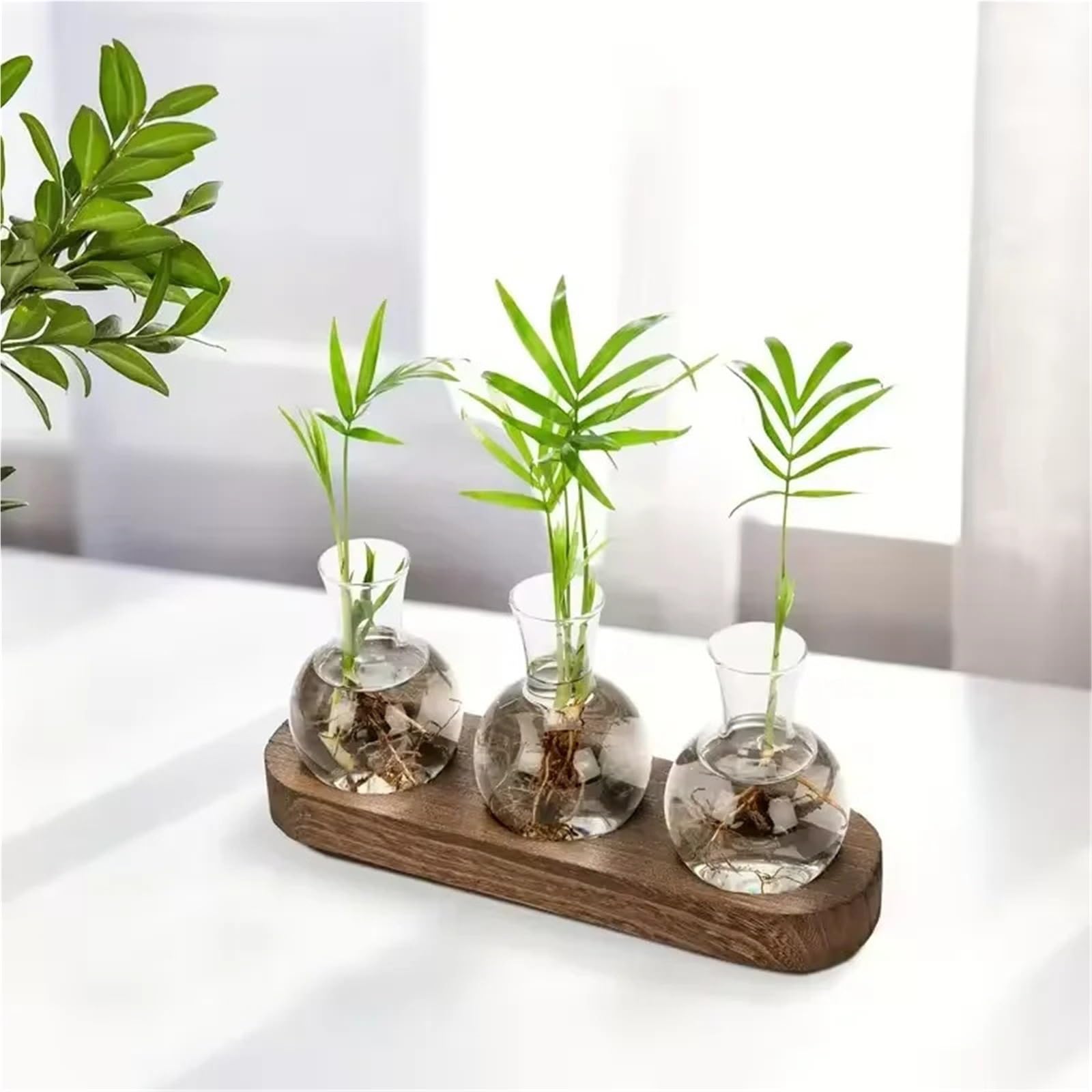 Vase Hydroponique Verre Terrarium en Verre for Plantes avec Plateau Bois – for Vase hydroponique de Propagation intérieur, décoration Bureau, Maison(Size A)
