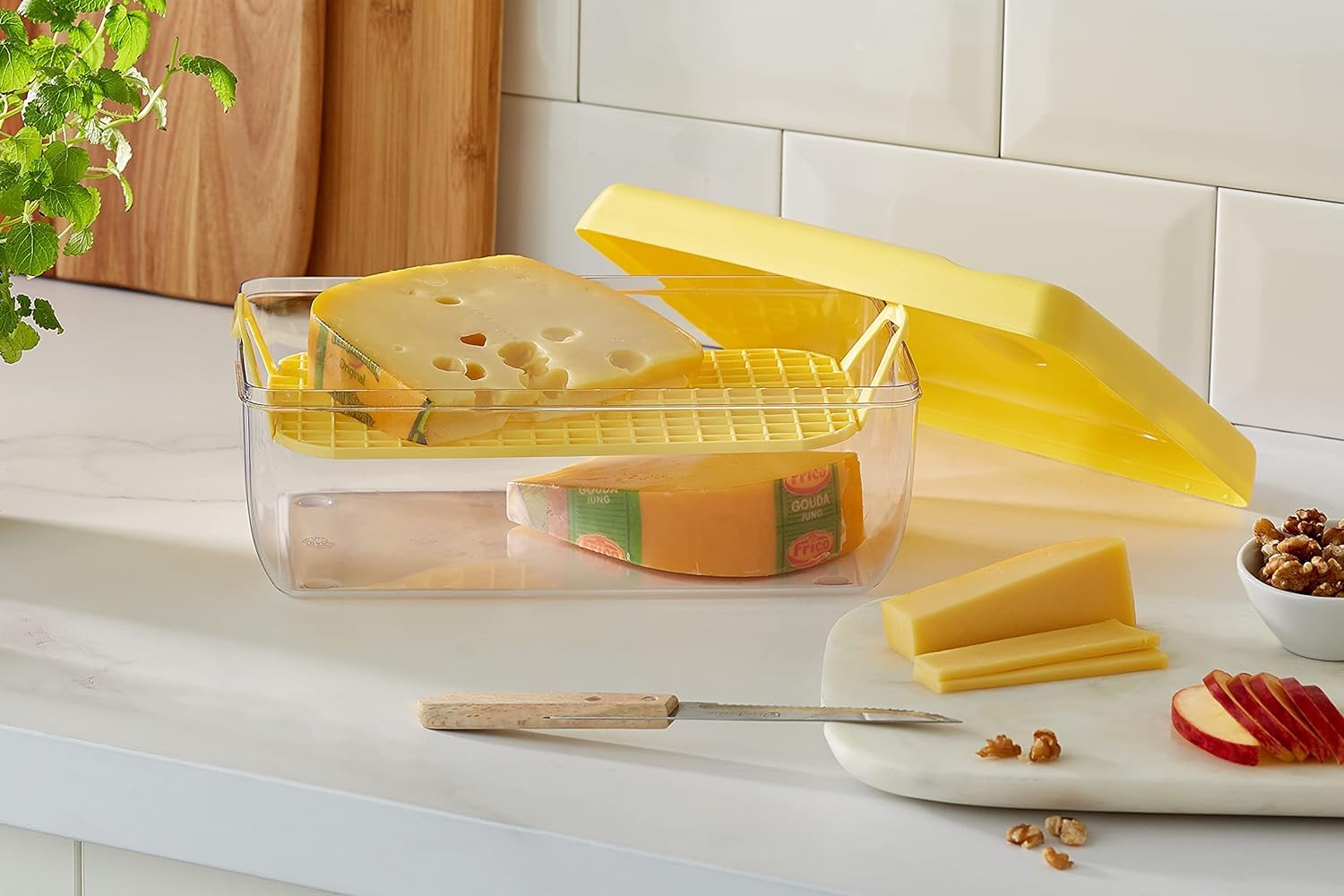 Cheese Container For Refrigerator At Jimmy Coats Blog