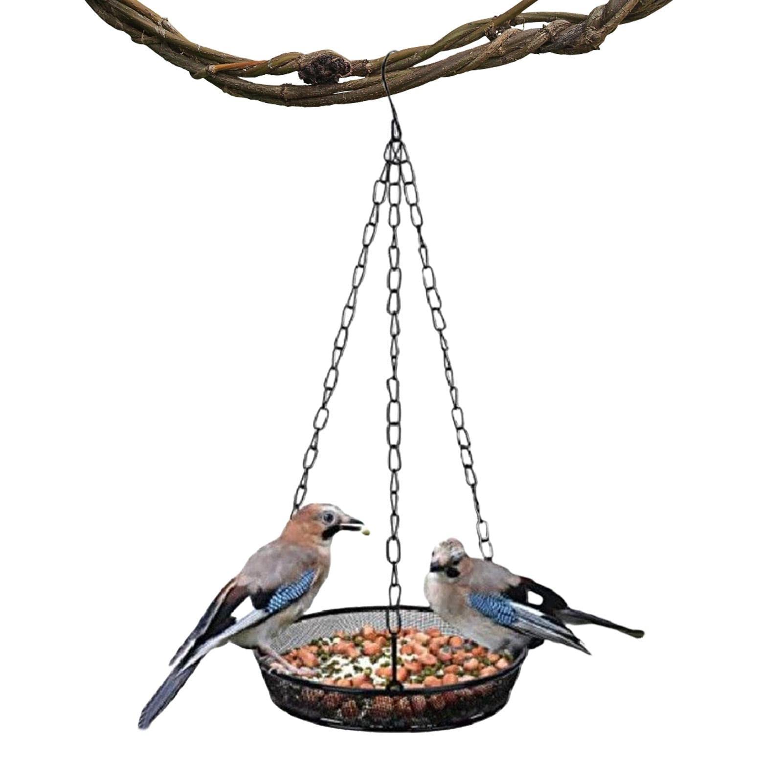 Amazon.co.jp: 木の鳥の餌箱,野鳥のフィーダー ツリー ハンギング