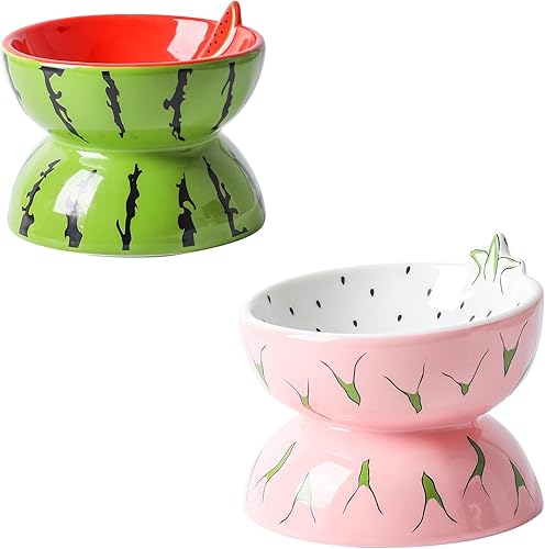 2 cuencos elevados de cerámica para gatos, antivómitos, cuencos inclinados para comida y agua para gatos, sin estrés, plato para gatos de interior y