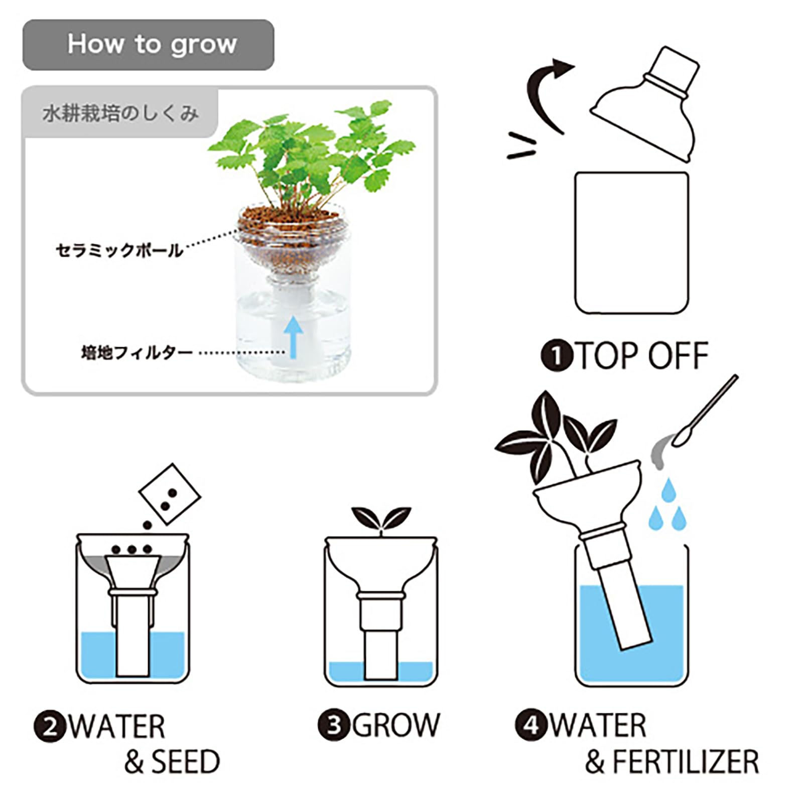Amazon｜聖新陶芸 通年 家庭菜園 簡単 栽培キット バジル 香草 ハーブ
