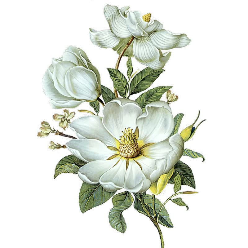 Decalcomanies magnolia pour embellir vos toilettes et chambre d enfants facon nature