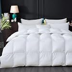 All Season Queen Size Comforter Grey,Down Alternative Comforter for Night Sweats,Cooling Duvet Insert with 8 Corner Tabs, Thick Warm Quilts Reversible Fluffy Hypoallergenic