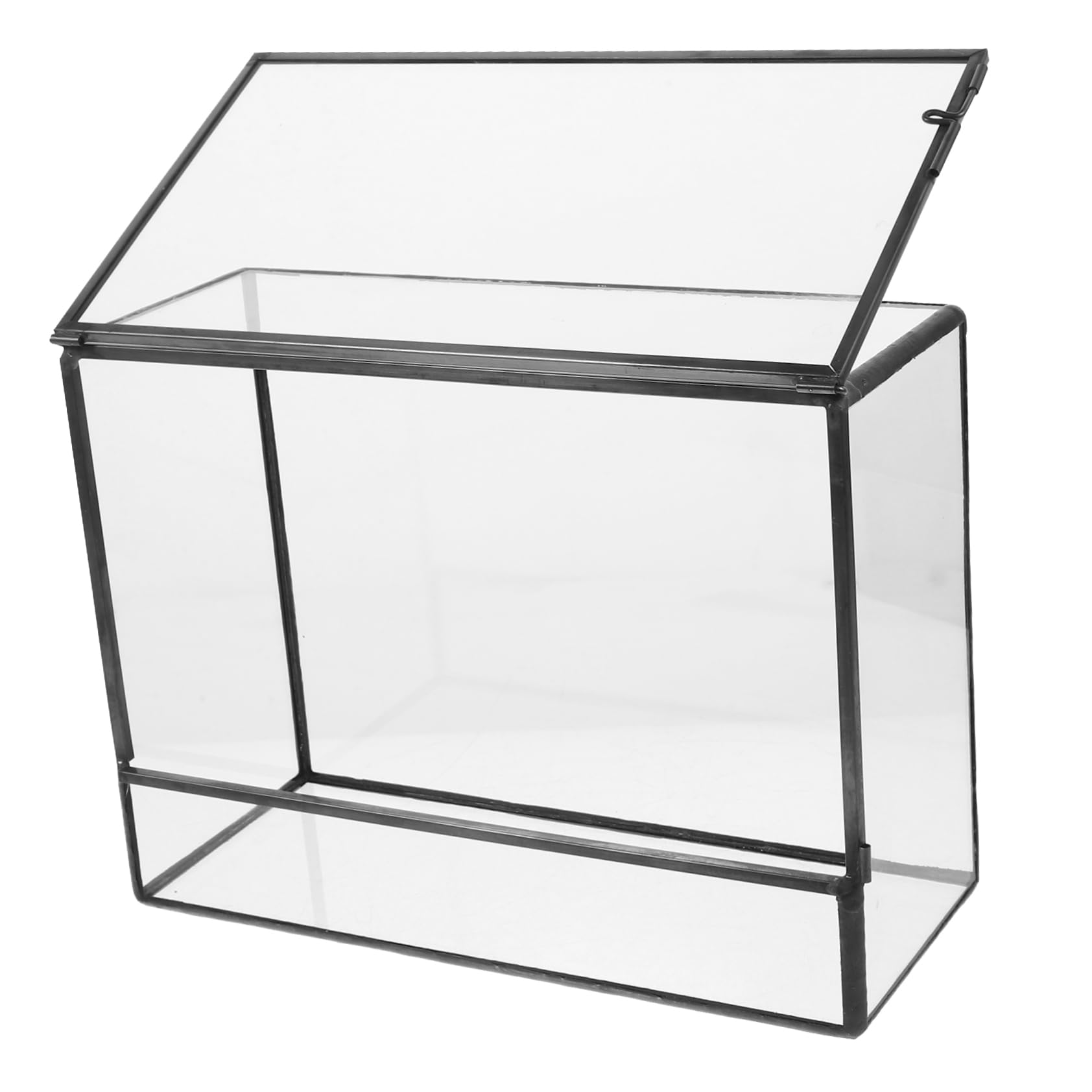 Terrario in Vetro per Micro Paesaggio, Contenitore Decorativo