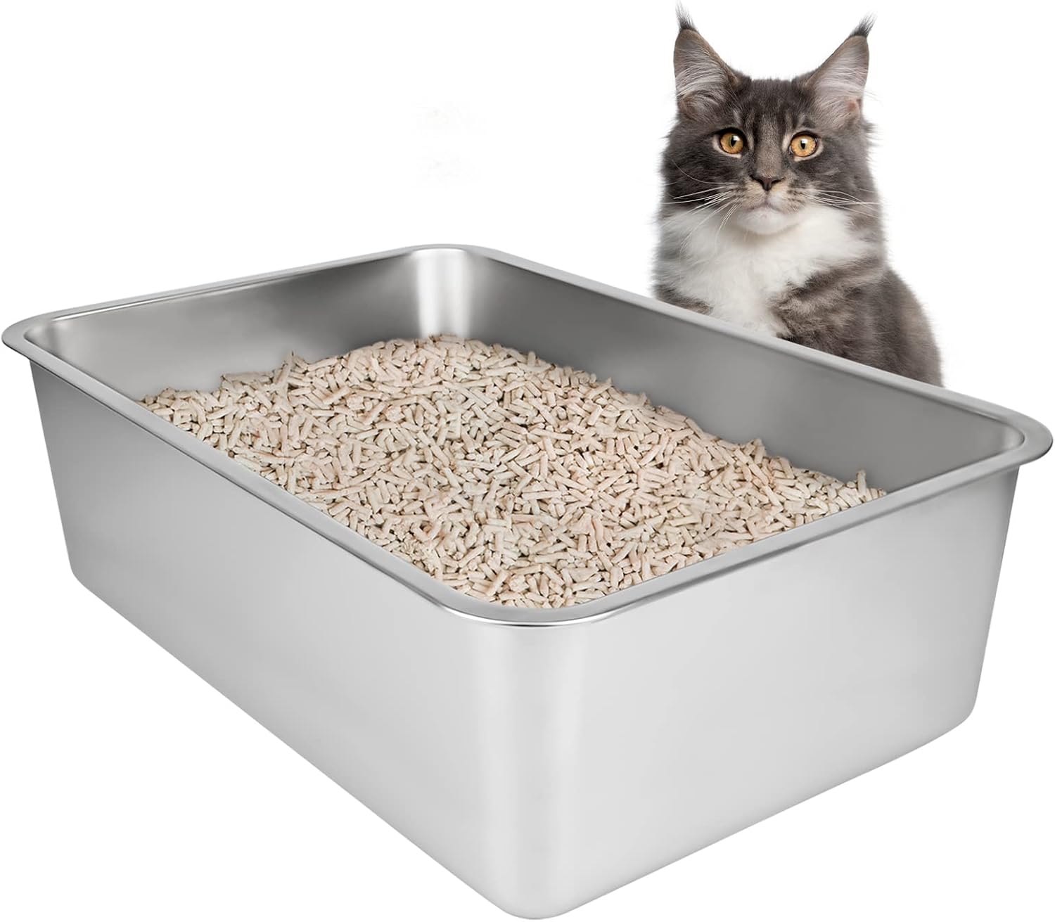 IKITCHEN Stainless Steel Cat Litter Box, Open Large Metal Litter Box