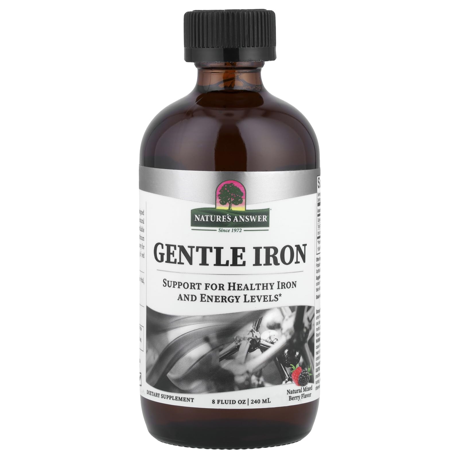 Gentle Iron 8 Ounce Liquid | Supports Red Blood Cells | Supports Iron Levels | Gluten Free | Non GMO