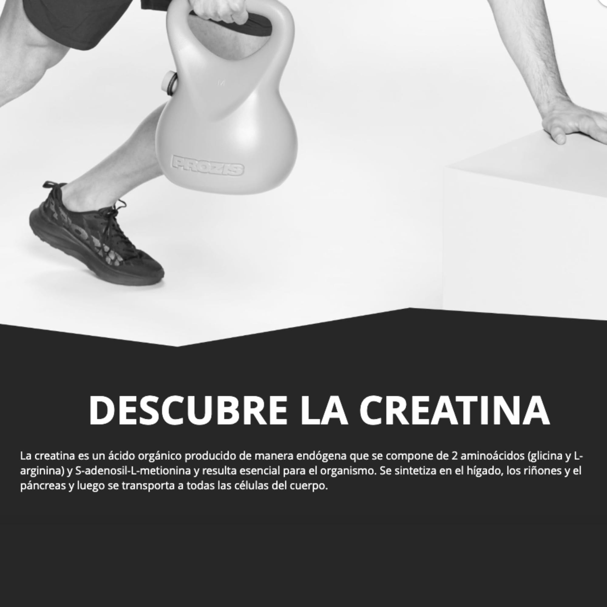 Creatina Creapure (300G) - Prozis - Sabor Neutro