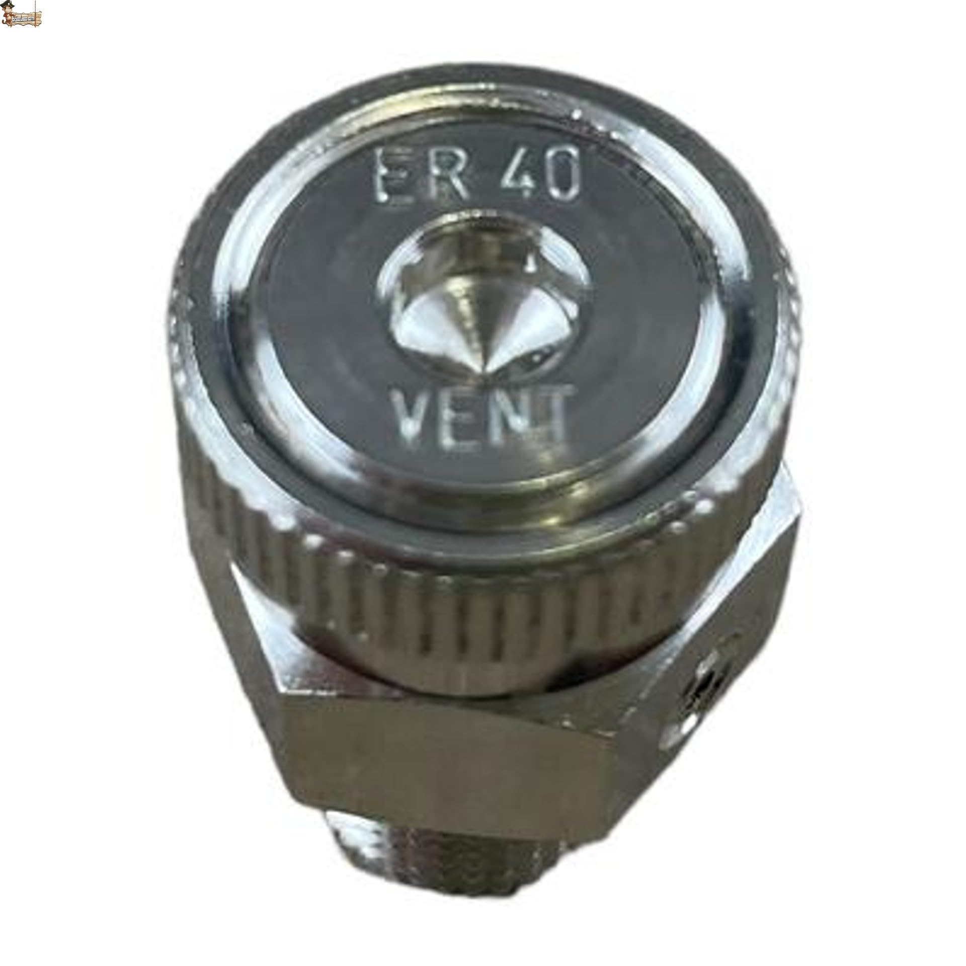 BricoLoco.com Spurgo automatico radiatore riscaldamento. Chiave di spurgo per radiatore con valvola di uscita con tappo cieco senza vite, essendo automatica. Filettatura maschio 1/8". (10)
