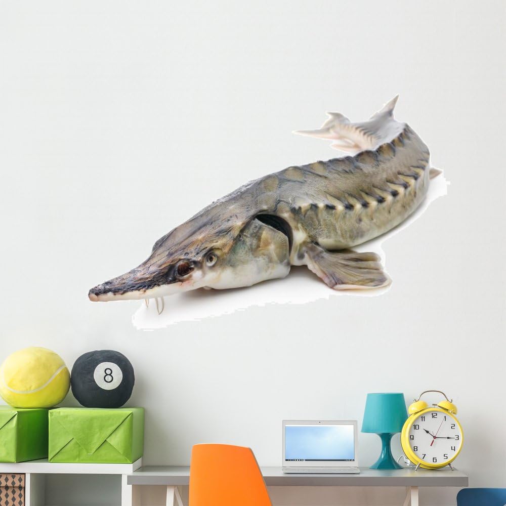 Wallmonkeys Sturgeon Fish Wall Decal Peel and Stick Graphic WM38226 (60 in W x 40 in H)