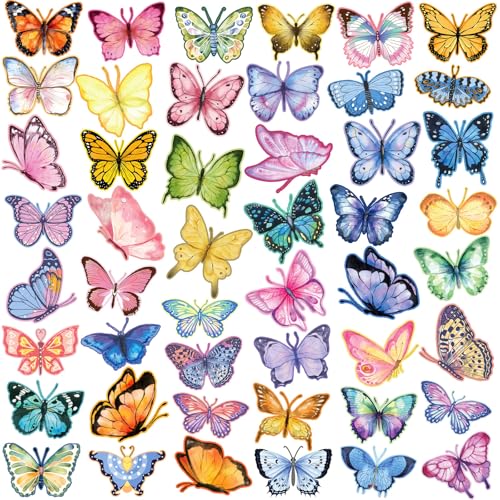 Imanes decorativos mariposa coloridos pack 48 pcs