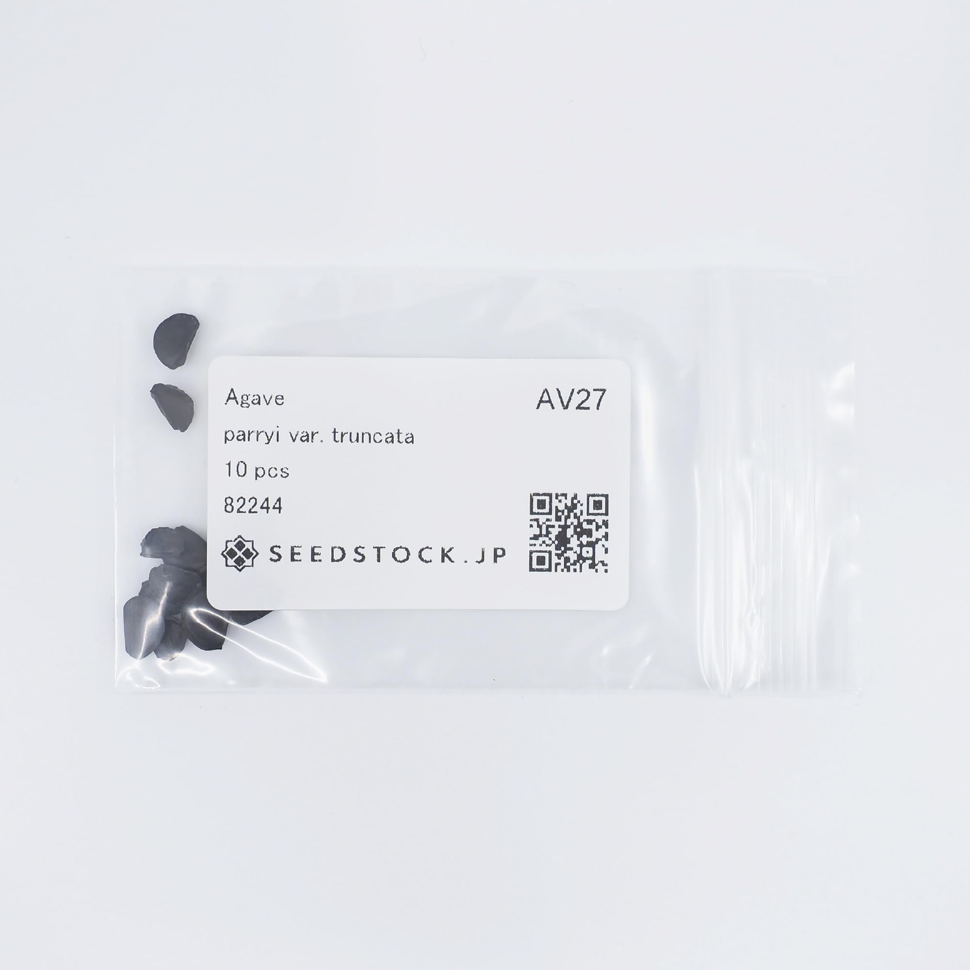 タ*店様 【超希少サイズ/300円スタート】シャークスキン　アガベ　トランカータ タ*店様 【超希少サイズ/スタート】シャークスキン アガベ