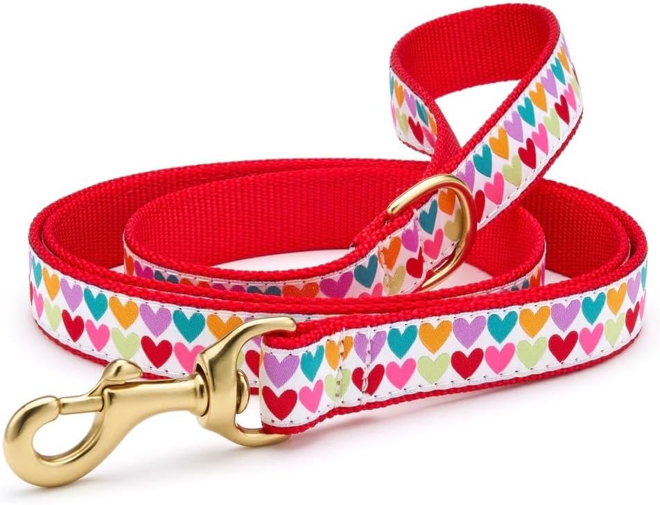 Up Country, Dog Lead Pop Hearts Pattern Leash with D-Ring, 5 Foot (5 Foot 5/8" Narrow)