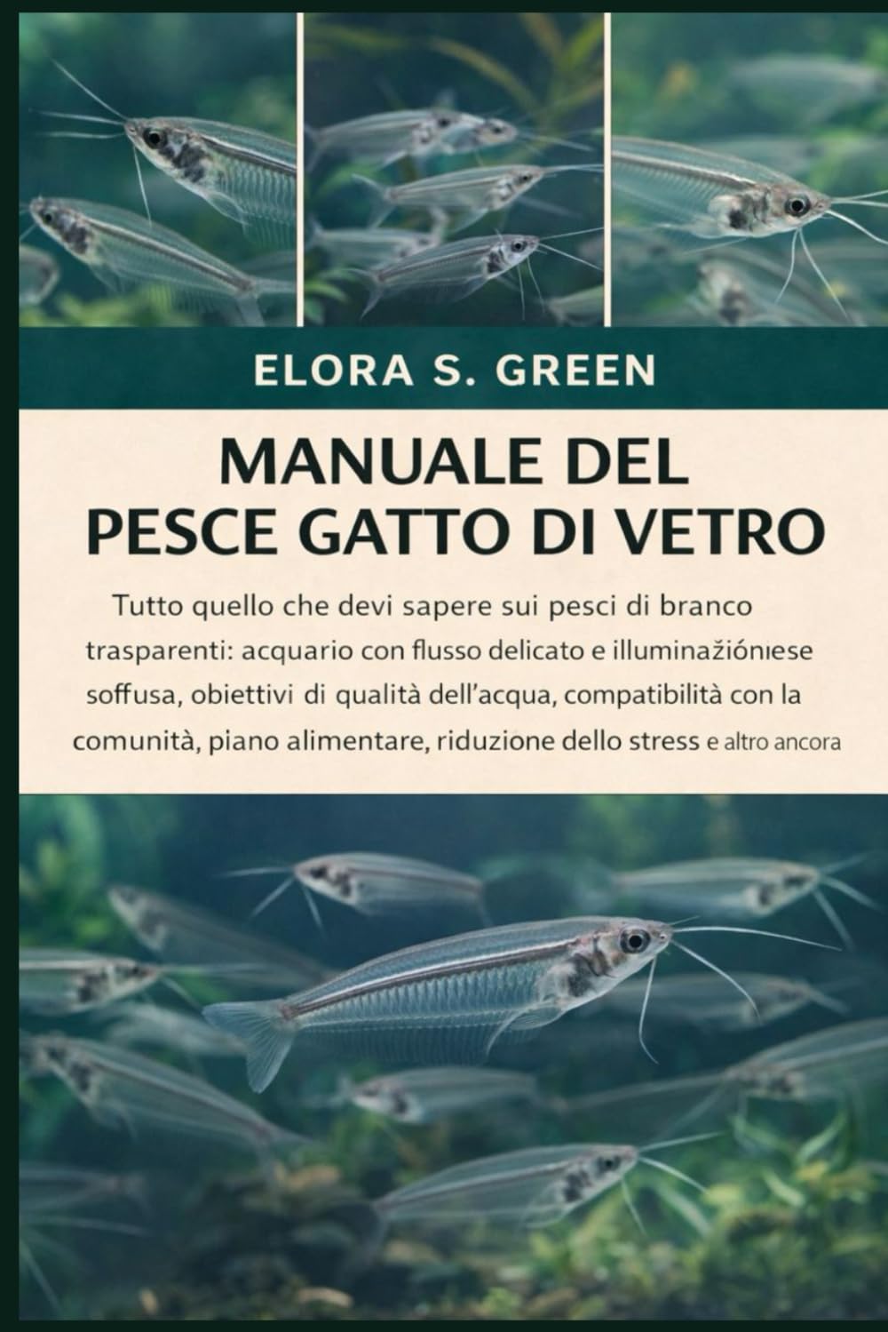 MANUALE DEL PESCE GATTO DI VETRO: Tutto quello che devi sapere sui pesci di branco trasparenti: acquario con flusso delicato e illuminazione soffusa, ... comunità, piano alimentare, riduzione dello