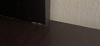 Review Image by Amazon Customer