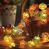Coquimbo Fall Decorations Thanksgiving for Home, 10FT 30 LED Pumpkin Maple Leaf Lights Battery Operated Fairy String Lights Autumn Harvest Table Indoor Outdoor Decor Halloween Party Decorations Gifts