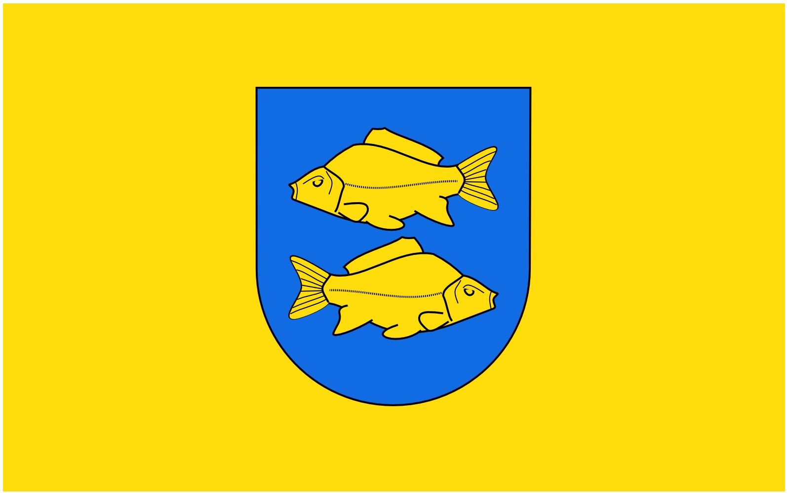 Drapeau Krasnystaw grand format Orem pour pavoiser sans décoloration