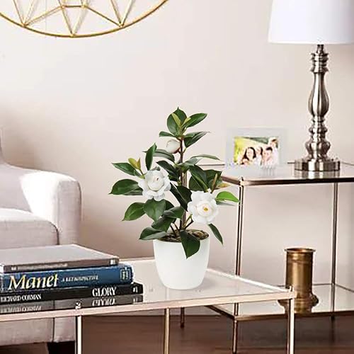 Miniatura 2 de Briful Plantas artificiales en maceta, pequeñas plantas de plástico sintético, plantas de escritorio, flores artificiales con jarrón para el hogar,