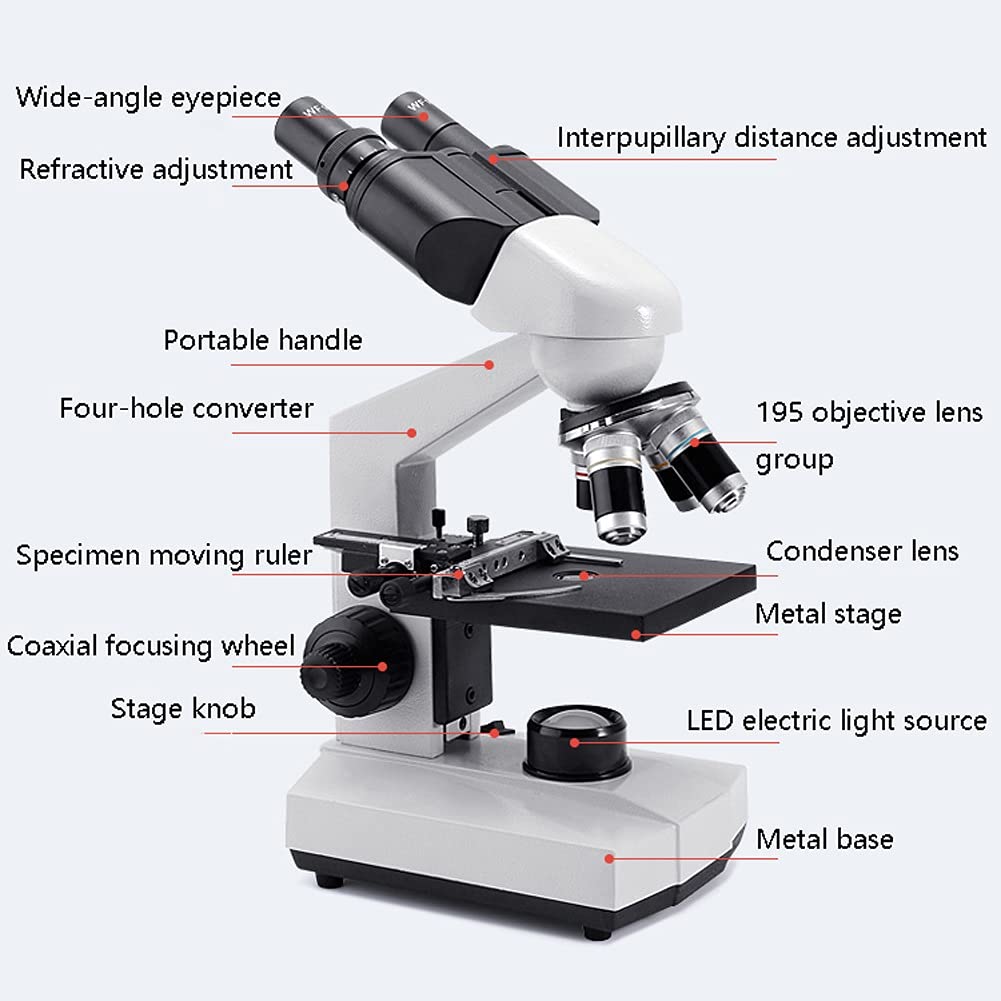 Kit microscopio Composto con Lente d'Ingrandimento Illuminazione a LED per Laboratorio didattico per hobbisti di Laboratorio