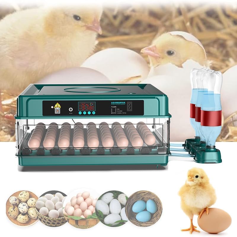 Couveuse Oeuf Automatique 10-36 Oeufs, Incubateur Oeuf Automatique avec Retournement Automatique des œufs, Ajout Automatique d'eau, pour Oeufs de Poule, Caille, Canard,...