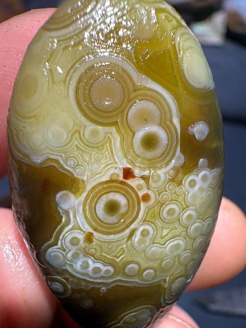 Natural Gobi Desert Multi-Eye Agate Cabochon 16g 41×23×11mm - Rare Olive Green Banded Agate, Untreated Wind-Polished Stone for Jewelry & Collection