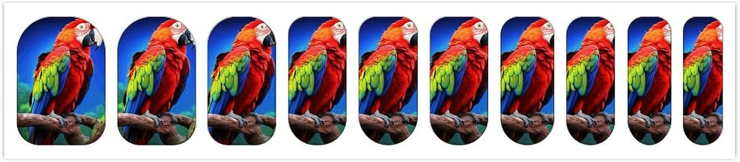 Nail Strips Bundle Full Wrap Long Lasting Nail Polish Strips Easy Application and Removal Salon Quality Self Adhesive Art Stickers for Women Gifts