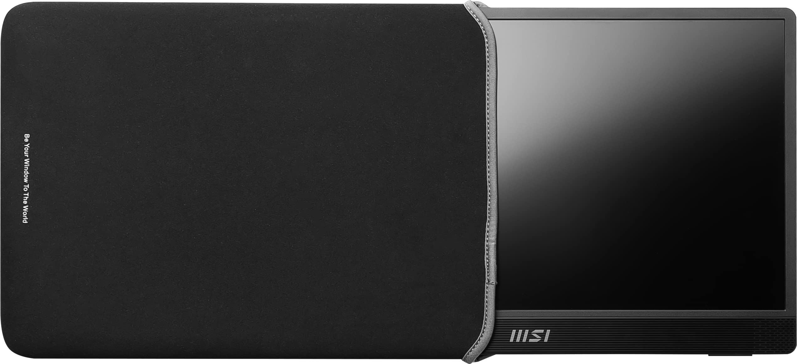 MSI PRO MP161DE portabler IPS Monitor 39,6 cm (15,6 Zoll), 60 Hz, FHD (1920x1080), Ultra Slim, USB Typ C, Mini HDMI, schwarz