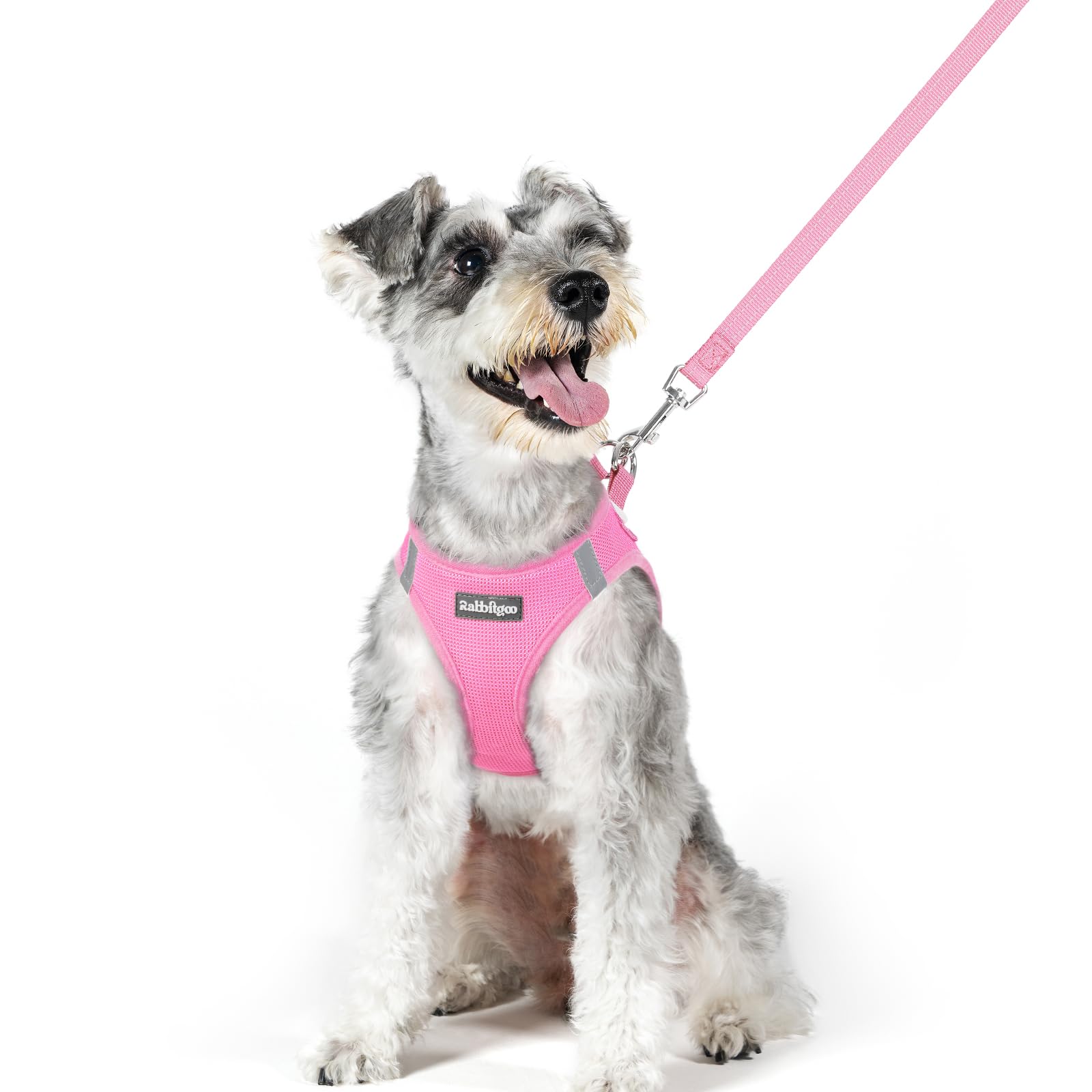 rabbitgoo Dog Harness Medium Sized and Leash Set, Step-in Puppy Pet Vest