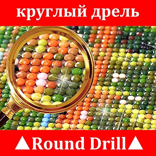 Rose Diamond Cross Stitch Crystal Diamond Painting Kit - DIY – Diamond Painting Kits