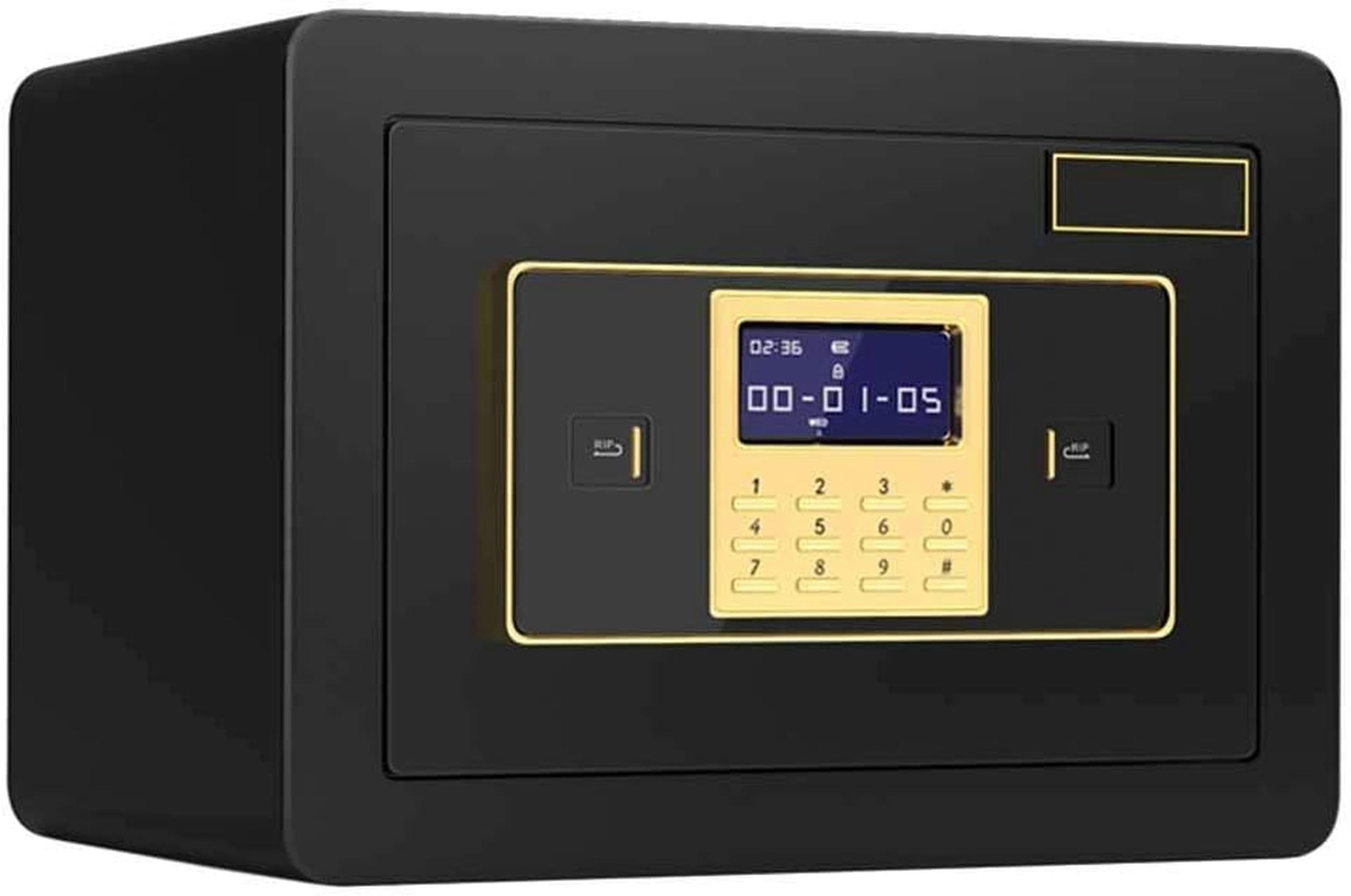 Caja Fuerte DE Seguridad para LA CASA