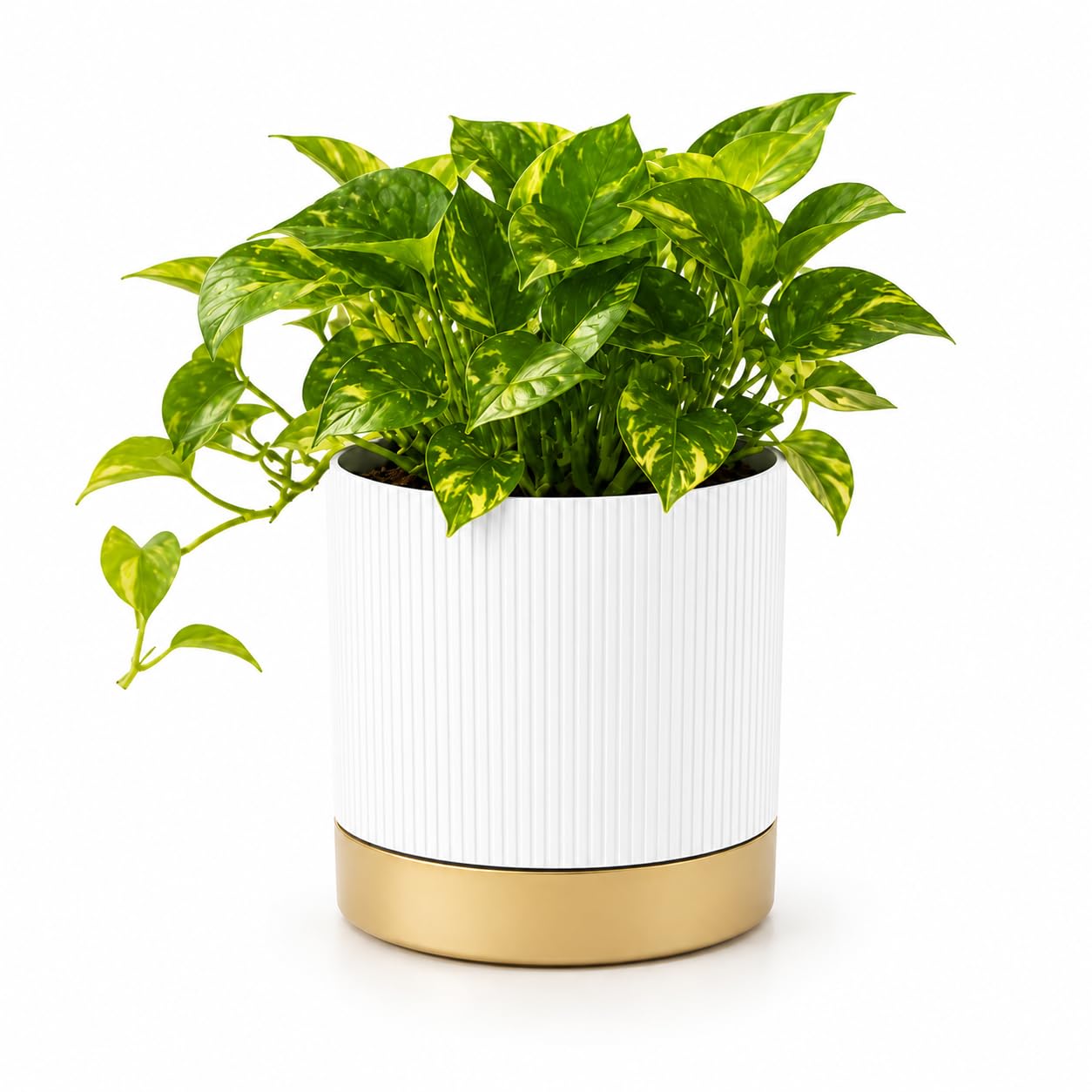 StyleX Store® 7 Inch Pack of 1 Decorative Plastic Flower Pot with Drainage Tray, Modern Ribbed Round Planter Pot for Indoor Outdoor Plants, Garden Pots for Home Balcony Office Decor, Plant Pots(White)-image-45