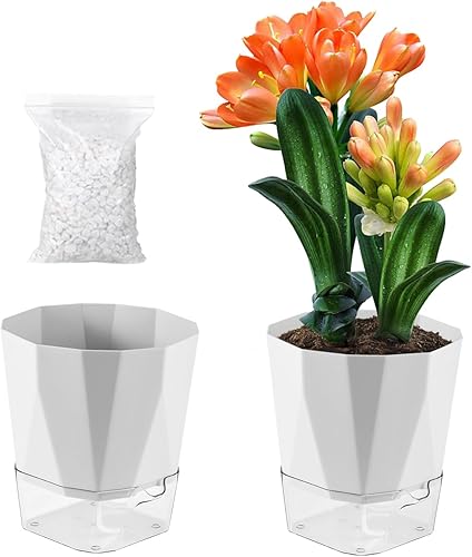 Miniatura 15 de Paquete de 5 macetas de riego automático para plantas de interior, macetas de riego automático de 5/6.7/8.4 pulgadas, color violeta africano, Gris