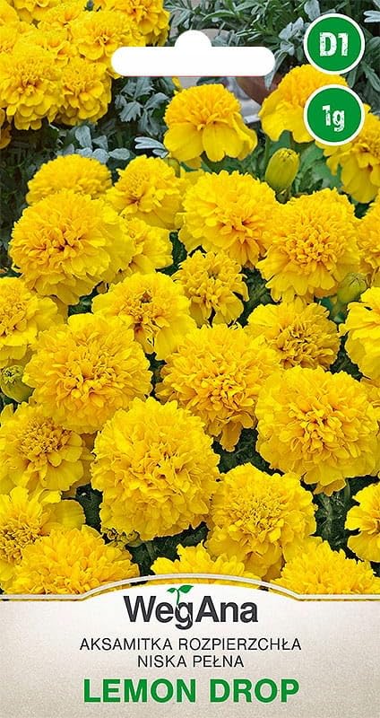 WegAna Samen Gelb Studentenblume Lemon Drop Gefiedert 1g - Einjährig - 50-60 cm Anspruchslos Niedrige Pflanzen - Gartenpflanzen Balkonpflanzen Bienenweide...