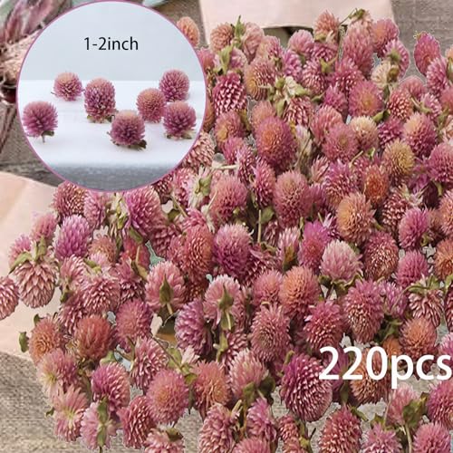 Cabezas de flores secas naturales para manualidades miniatura 2