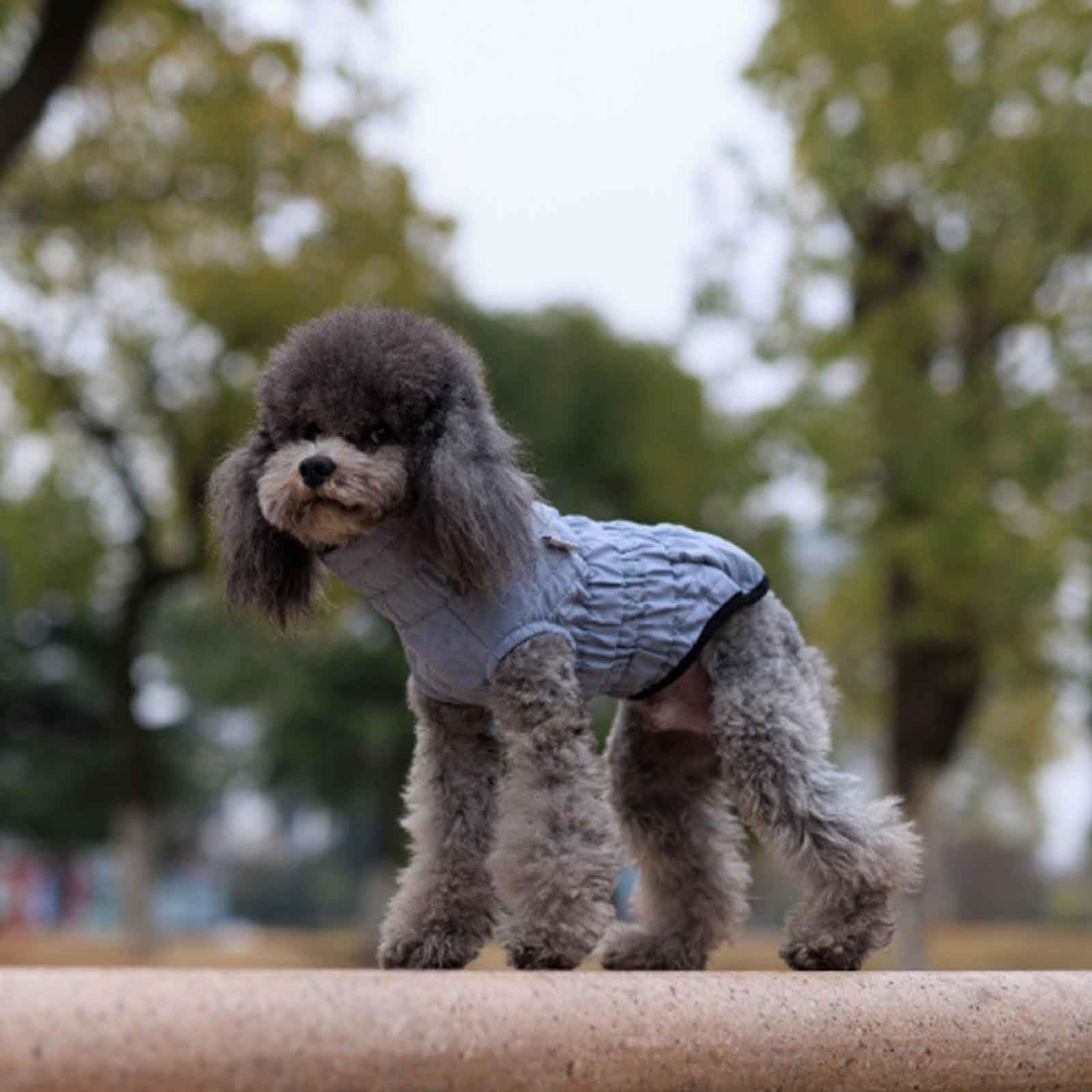 Hund Wintermäntel, Winddichte Hundeweste, Sehr Warm Für Den Winter Und Kaltes Wetter, Haustier Skifahren Kostüm Ärmellose, Für Kleine, Mittlere Hunde,Blau,XXL