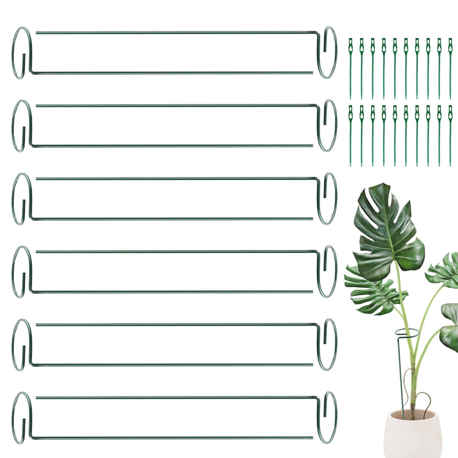 Support de plantes en métal et piquets de fleurs de jardin avec attaches