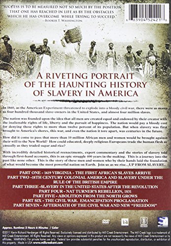 African American slavery DVD soluciona la falta de rigor histórico 3