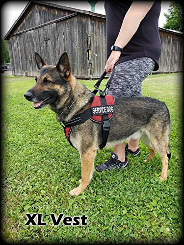 Activedogs Service Dog Air-Tech Mesh Service Dog Vest Harness Kit, Size Medium Red + Id + Bridge Handle + Ada Cards + Travel Tag #TOP1