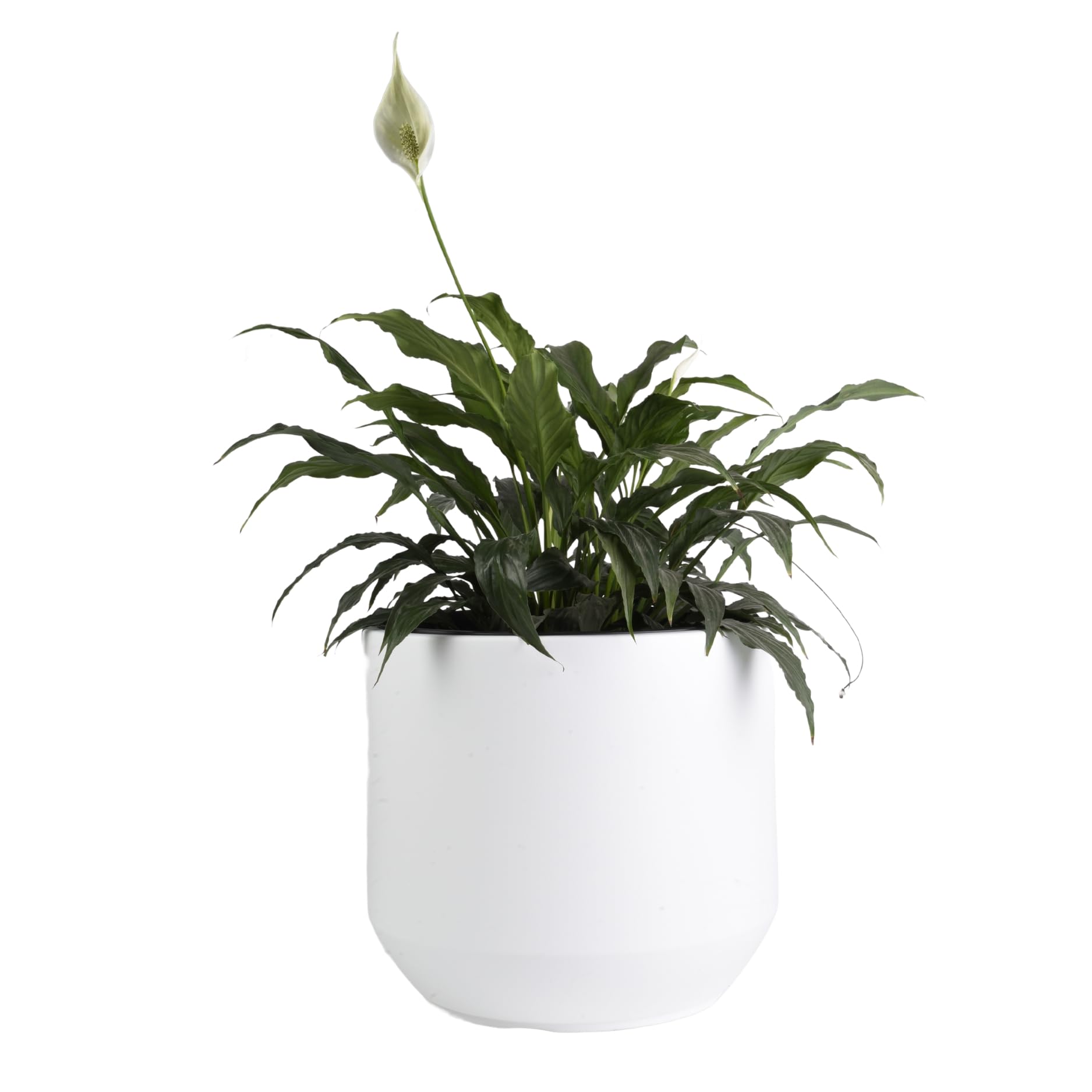 B2c White Round Plant Pot Elegant Large Flower Indoor Outdoor Garden Planter Heos 36L Home Decor Removable Insert Large (White)